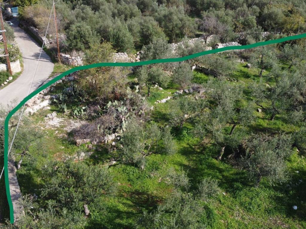 Περιλαμβάνει ένα παραδοσιακό πέτρινο &quot;αλώνι&quot; σε στυλ Μάνης.