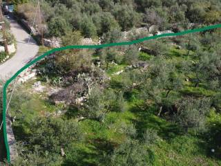 Περιλαμβάνει ένα παραδοσιακό πέτρινο &quot;αλώνι&quot; σε στυλ Μάνης.