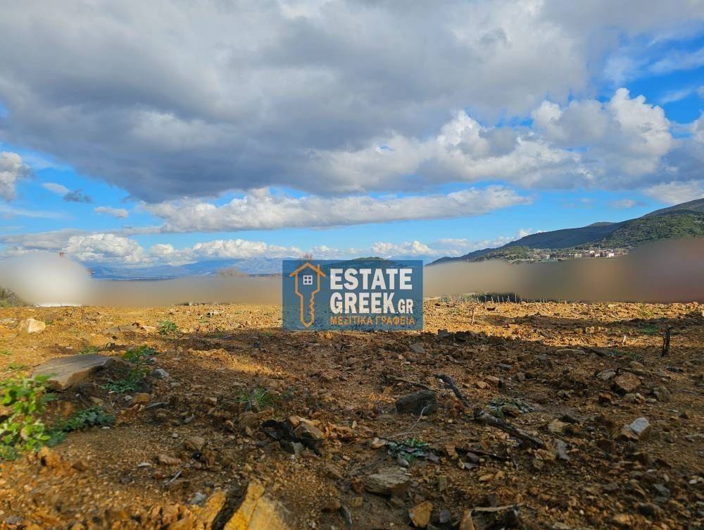 ★ Θέα στο κάμπο ★ ΧΤΙΖΕΙ 288 τ.μ. ★ Πρόσοψη σε ασφαλτόδρομο ★