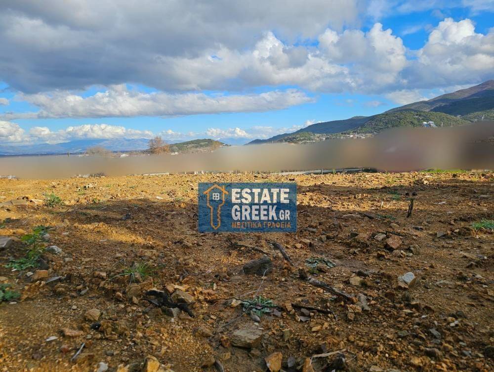  THea sto kampo  CHTIZEI 288 t.m.  Prosopse se asphaltodromo 