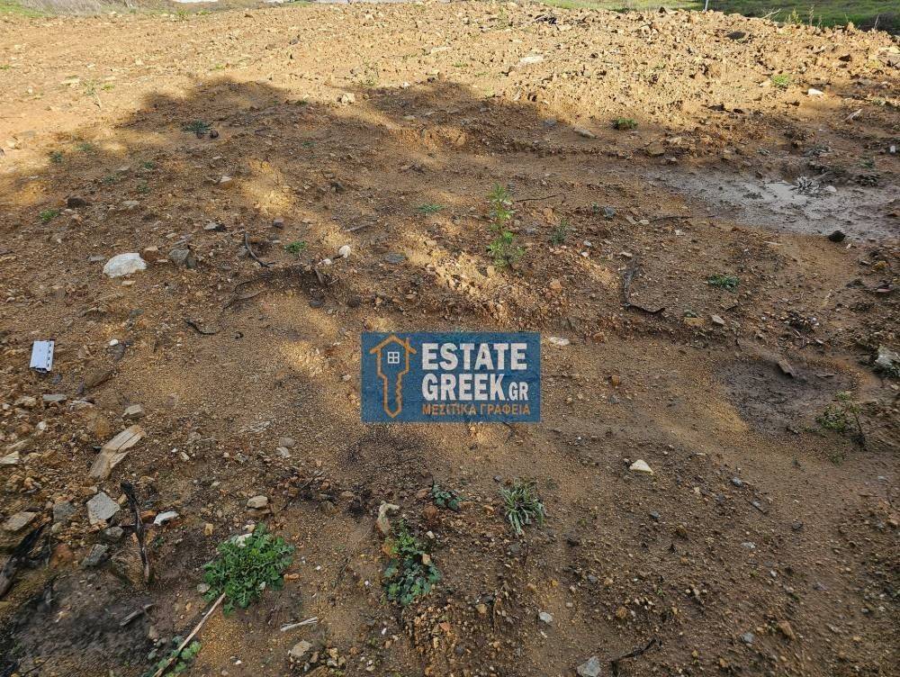  THea sto kampo  CHTIZEI 288 t.m.  Prosopse se asphaltodromo 