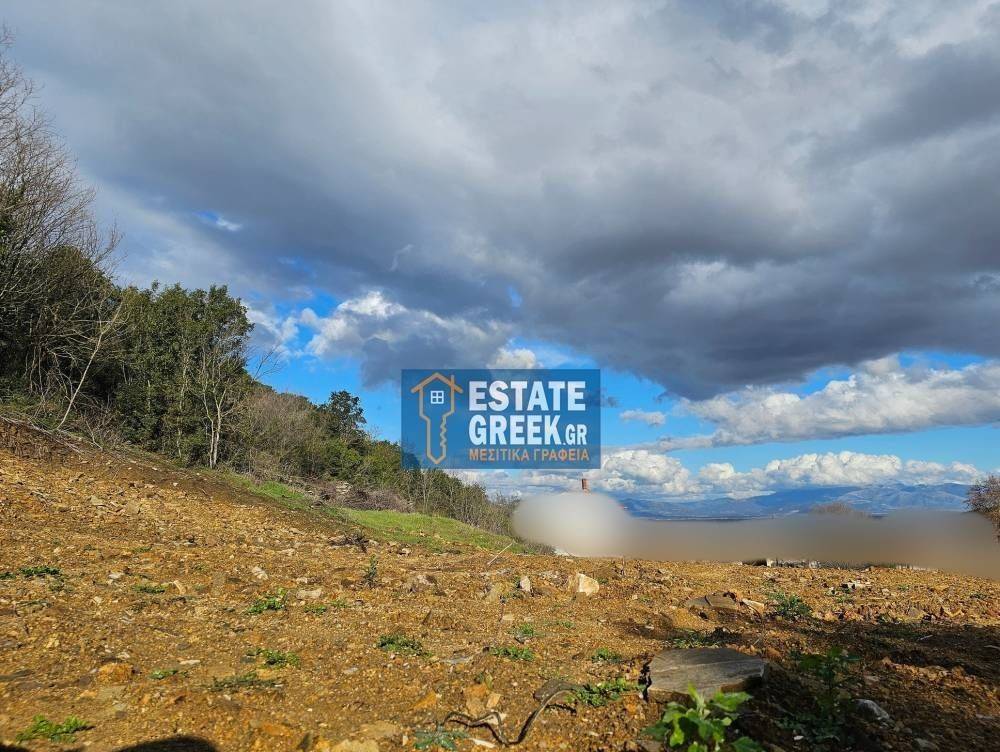  THea sto kampo  CHTIZEI 288 t.m.  Prosopse se asphaltodromo 