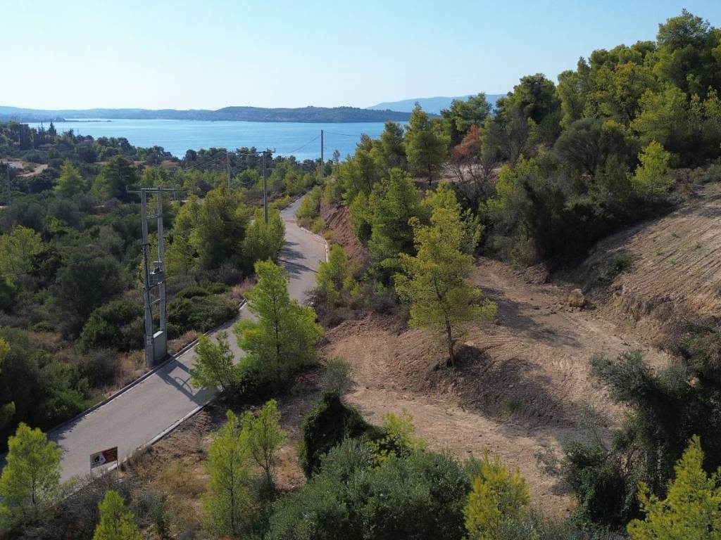 THese toy Oikopedoy kai thea apo isogeio 350m Paral Berberonta