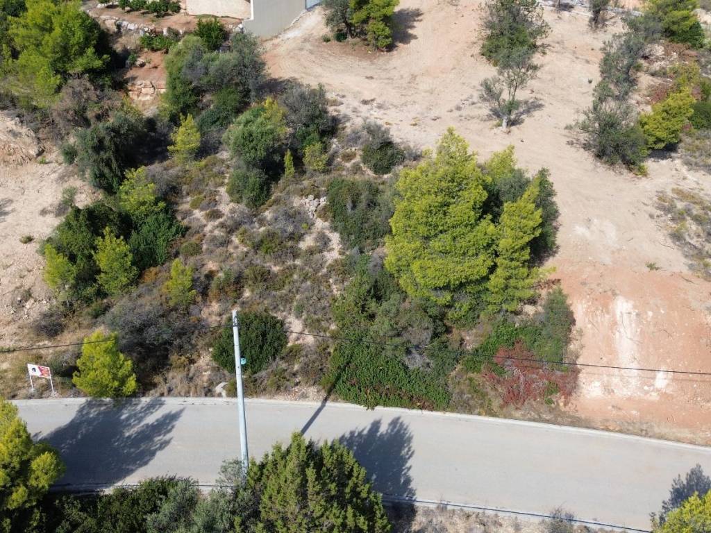 THese toy Oikopedoy kai thea apo isogeio 350m Paral Berberonta