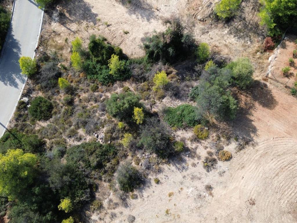 THese toy Oikopedoy kai thea apo isogeio 350m Paral Berberonta