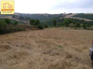 Τρίλοφος, Αγροτεμάχιο, 47.159 τ.μ.