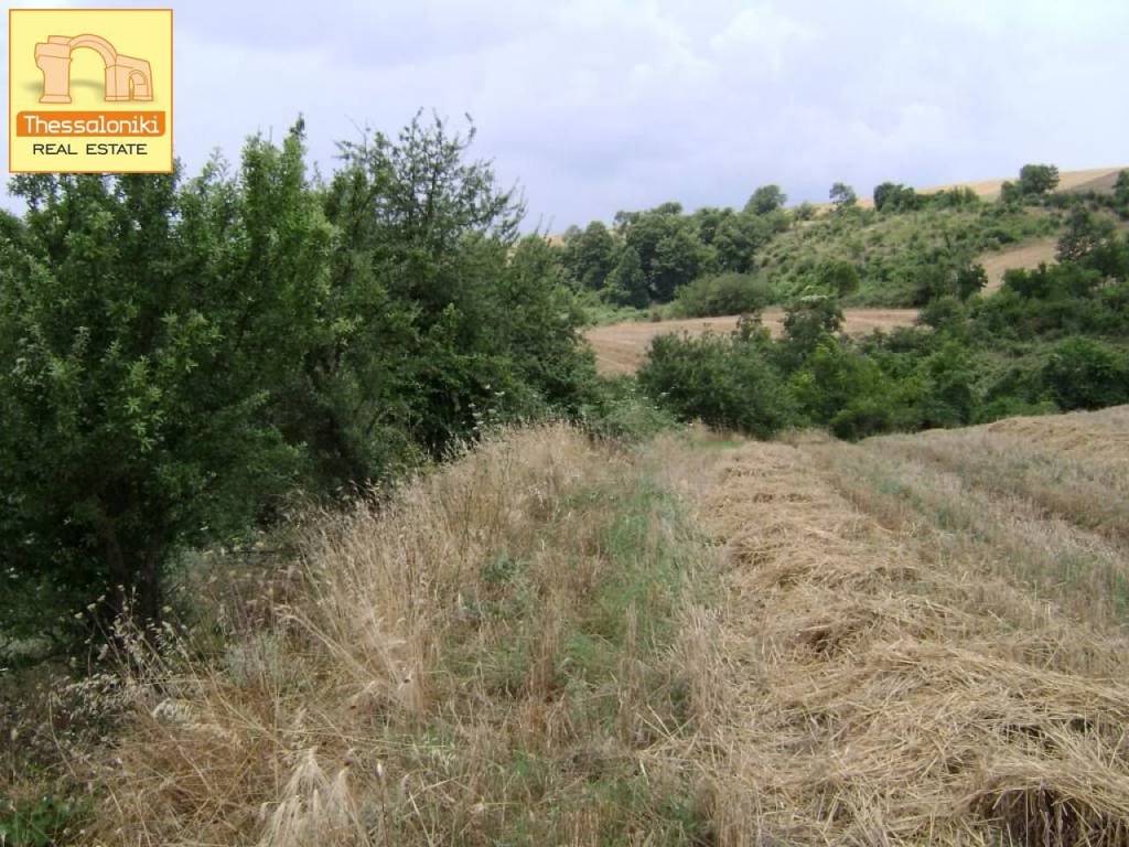 Τρίλοφος, Αγροτεμάχιο, 47.159 τ.μ.