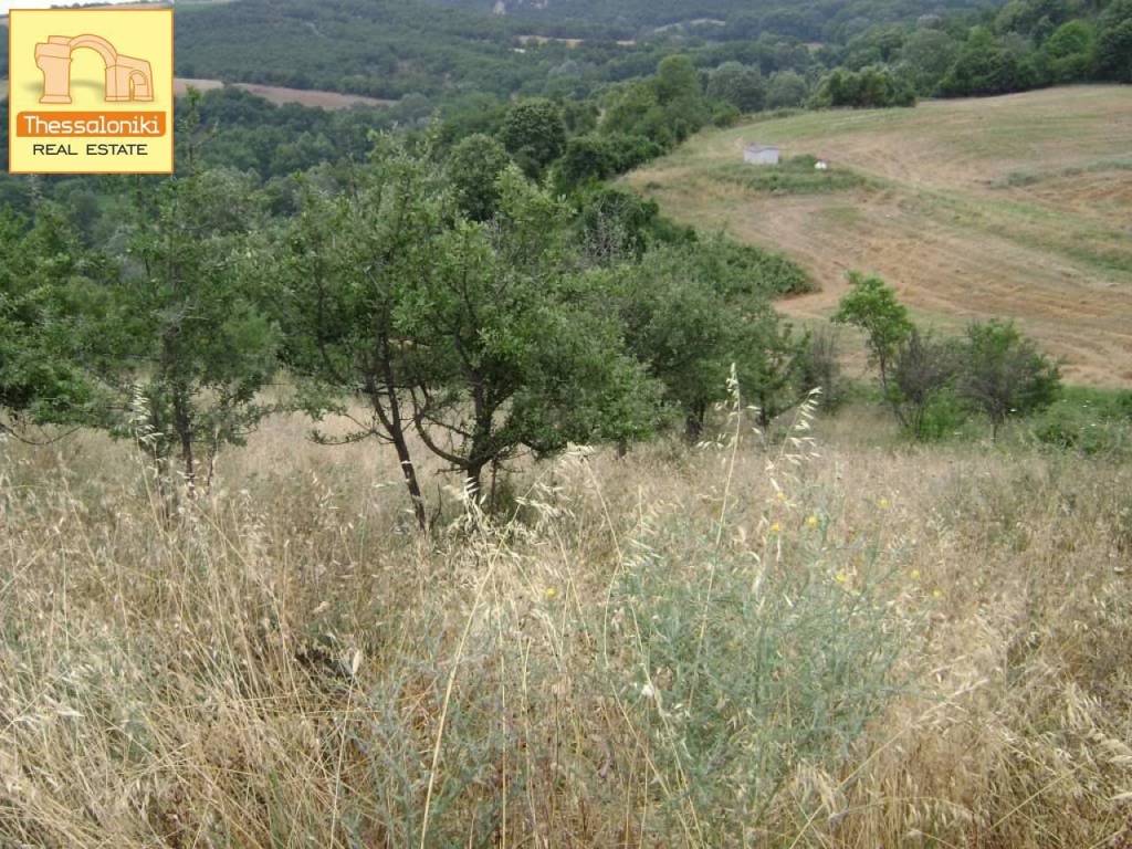 Τρίλοφος, Αγροτεμάχιο, 47.159 τ.μ.