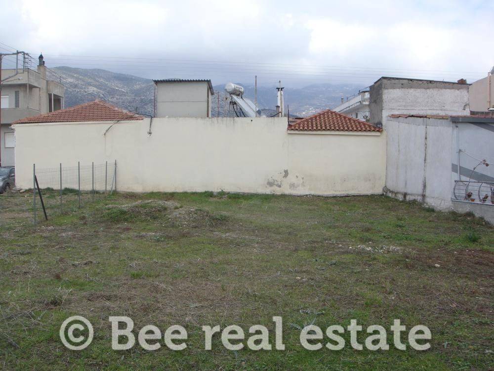 Άποψη εξωτερικού χώρου