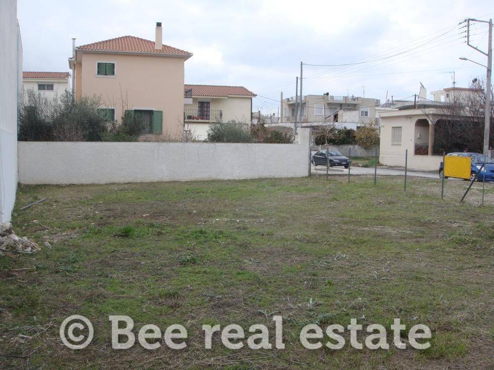 Άποψη εξωτερικού χώρου