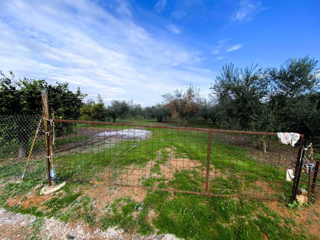 Agrotemachio ektos schedioy me domese