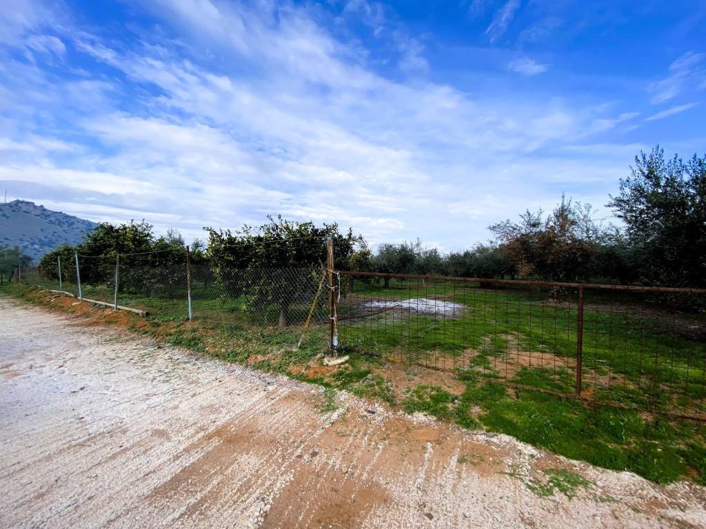 Agrotemachio ektos schedioy me domese