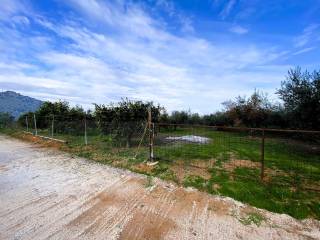 Agrotemachio ektos schedioy me domese