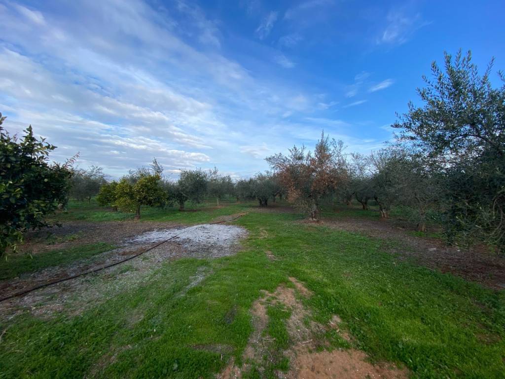 Agrotemachio ektos schedioy me domese