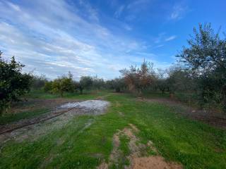 Agrotemachio ektos schedioy me domese