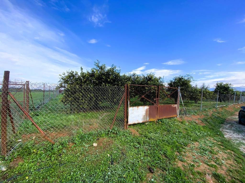 Agrotemachio ektos schedioy me domese