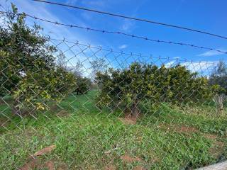 Agrotemachio ektos schedioy me domese