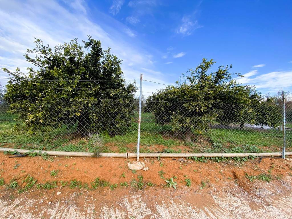 Agrotemachio ektos schedioy me domese