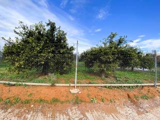 Agrotemachio ektos schedioy me domese