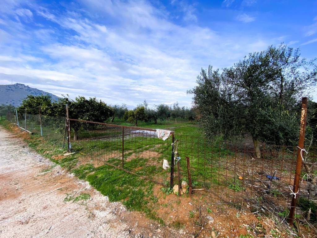 Agrotemachio ektos schedioy me domese