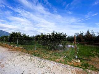 Agrotemachio ektos schedioy me domese