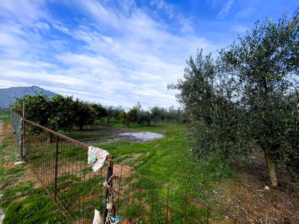 Agrotemachio ektos schedioy me domese