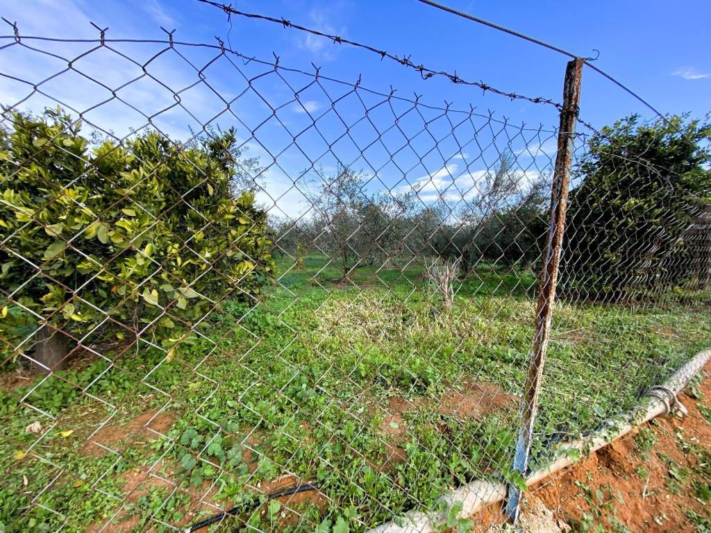 Agrotemachio ektos schedioy me domese