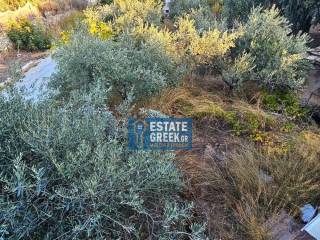 ★ It is 2 houses ★ Plot 778sq.m ★ Builds another 450sq.m ★ 