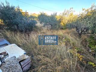 ★ It is 2 houses ★ Plot 778sq.m ★ Builds another 450sq.m ★ 