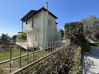 Forumland Real Estate, μονοκατοικία