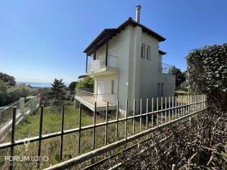 Forumland Real Estate, μονοκατοικία