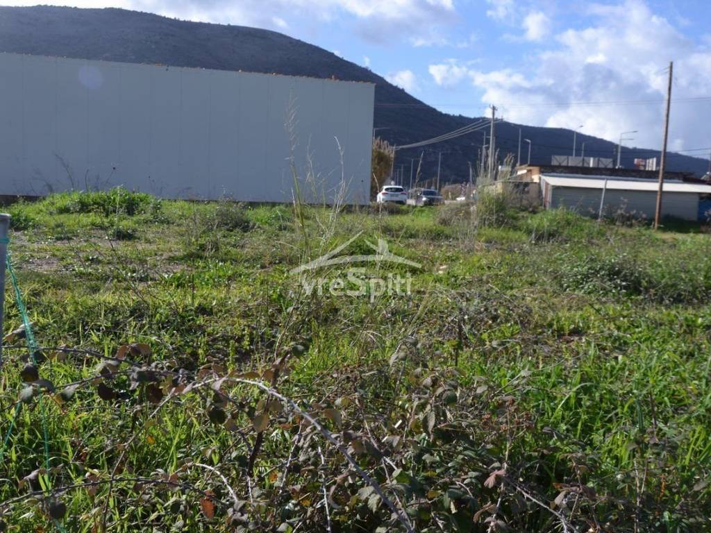 ΑΠΟΨΗ ΟΙΚΟΠΕΔΟΥ