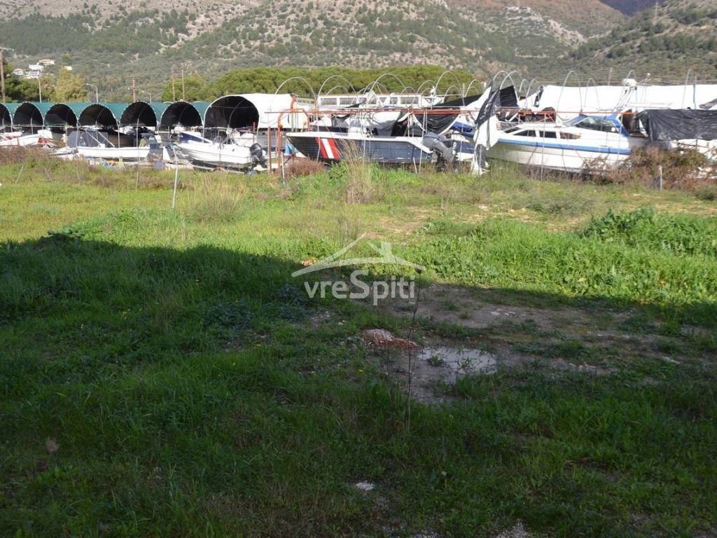 ΑΠΟΨΗ ΟΙΚΟΠΕΔΟΥ