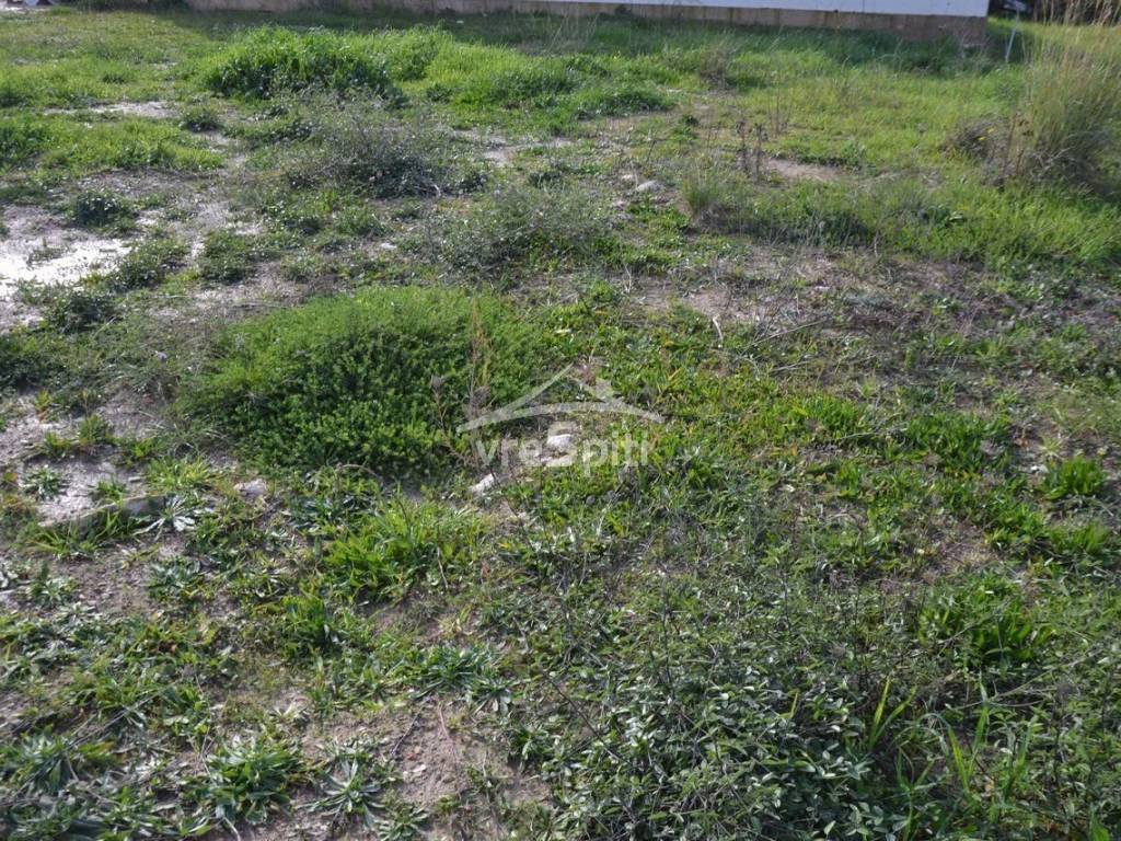 ΑΠΟΨΗ ΟΙΚΟΠΕΔΟΥ