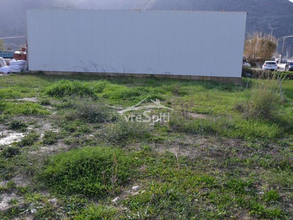 ΑΠΟΨΗ ΟΙΚΟΠΕΔΟΥ