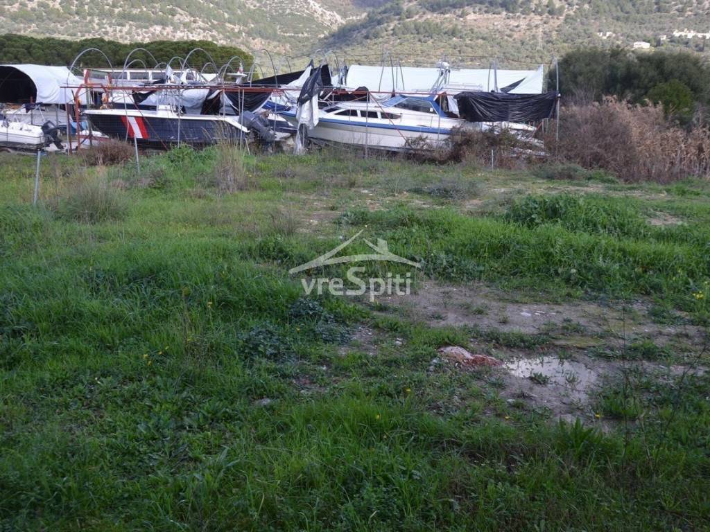 ΑΠΟΨΗ ΟΙΚΟΠΕΔΟΥ