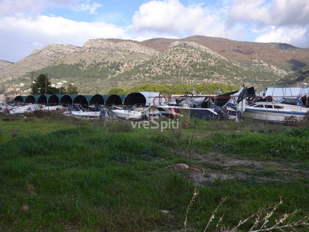 ΑΠΟΨΗ ΟΙΚΟΠΕΔΟΥ