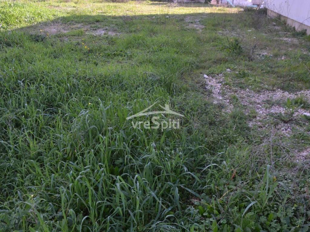 ΑΠΟΨΗ ΟΙΚΟΠΕΔΟΥ