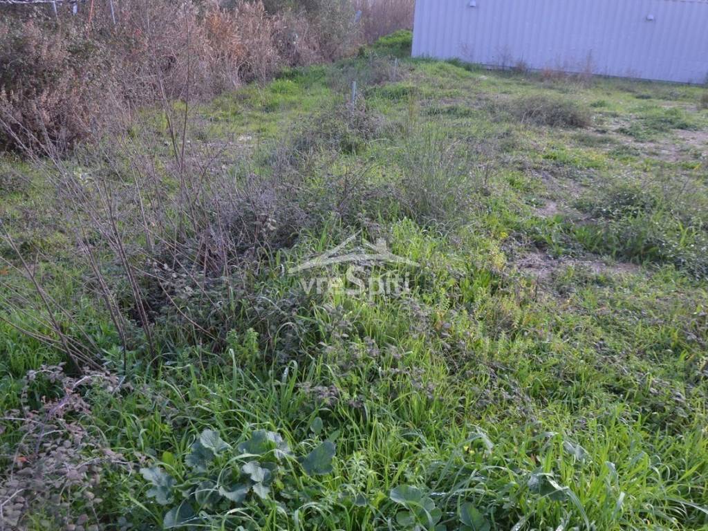 ΑΠΟΨΗ ΟΙΚΟΠΕΔΟΥ