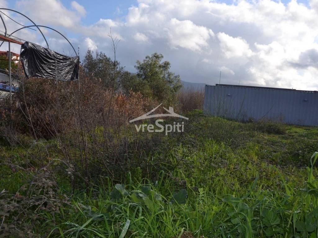 ΑΠΟΨΗ ΟΙΚΟΠΕΔΟΥ