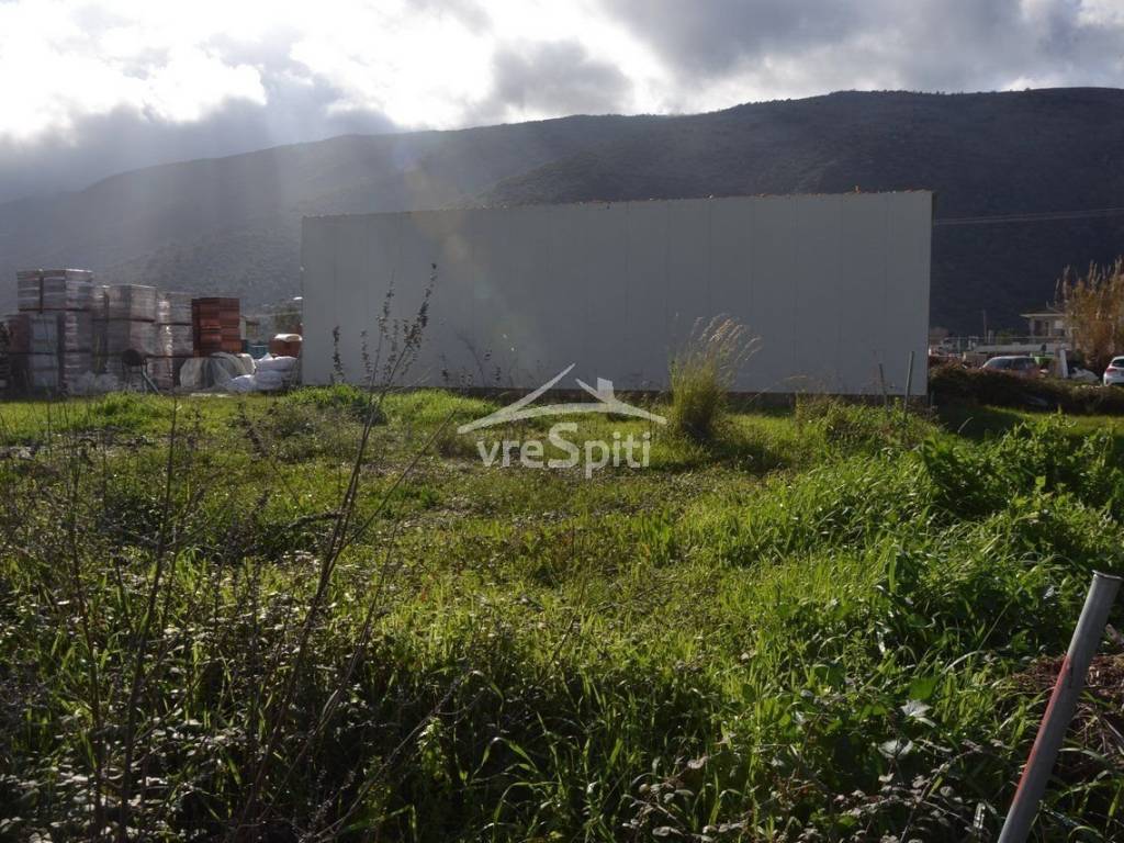 ΑΠΟΨΗ ΟΙΚΟΠΕΔΟΥ