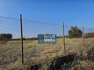 ★ Στην Εθνική οδό Καβάλας - Ξάνθης ★  Πρόσοψη 70τμ ★ Κτίζει 70τμ ★ Περιφραγμένο με ρεύμα ★