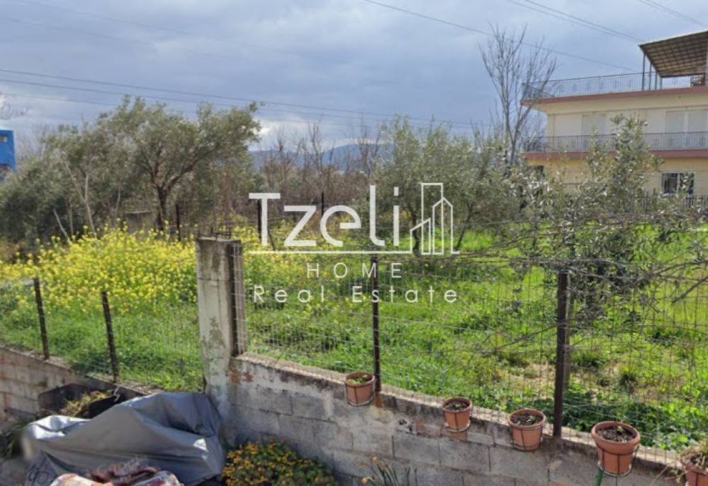 Άποψη οικοπέδου