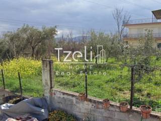 Άποψη οικοπέδου