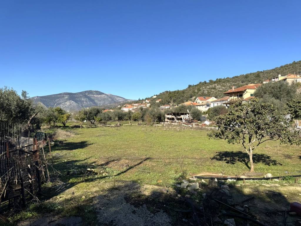 Terrain and landscape of property