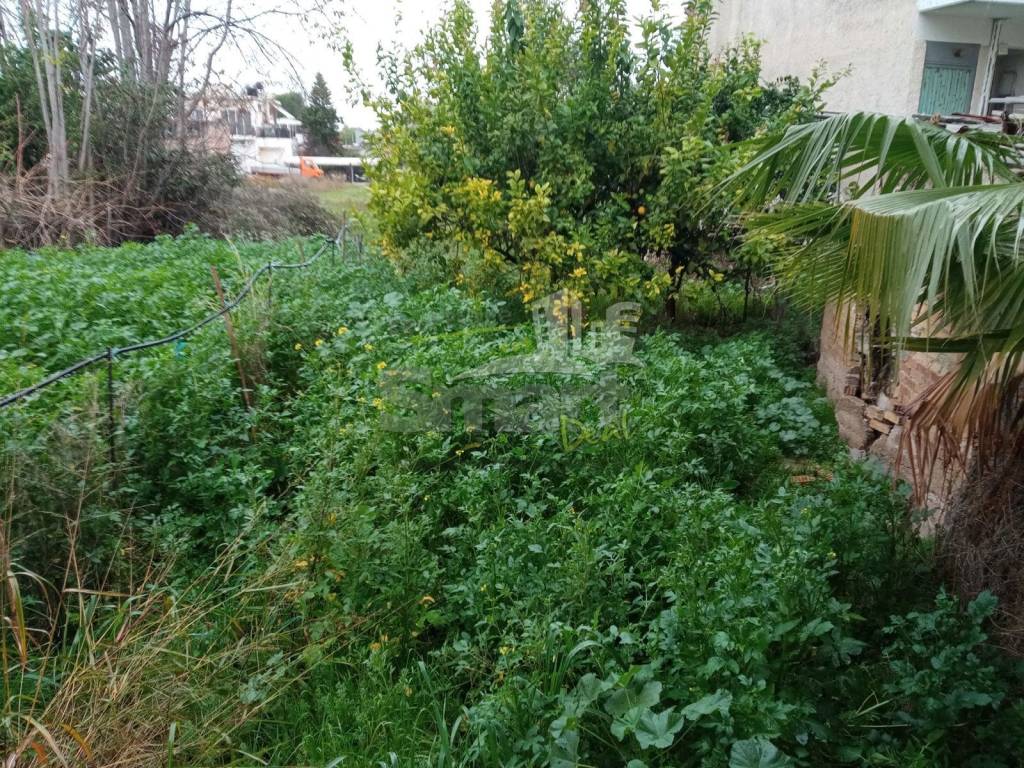 Εξωτερικοι χώροι