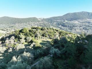 Το επικλινές αγροτεμάχιο με θέα προς τα βουνά