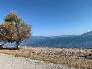 detached house of 220 sq m on two levels on its own plot of