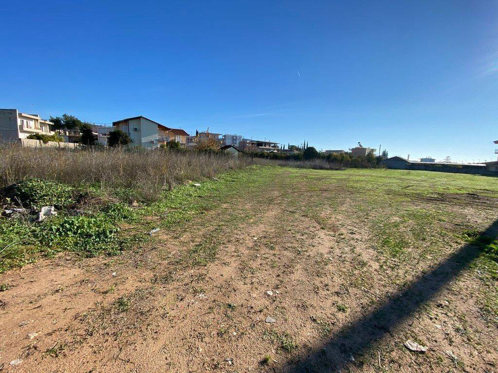 Oikopedo entos oikismoy