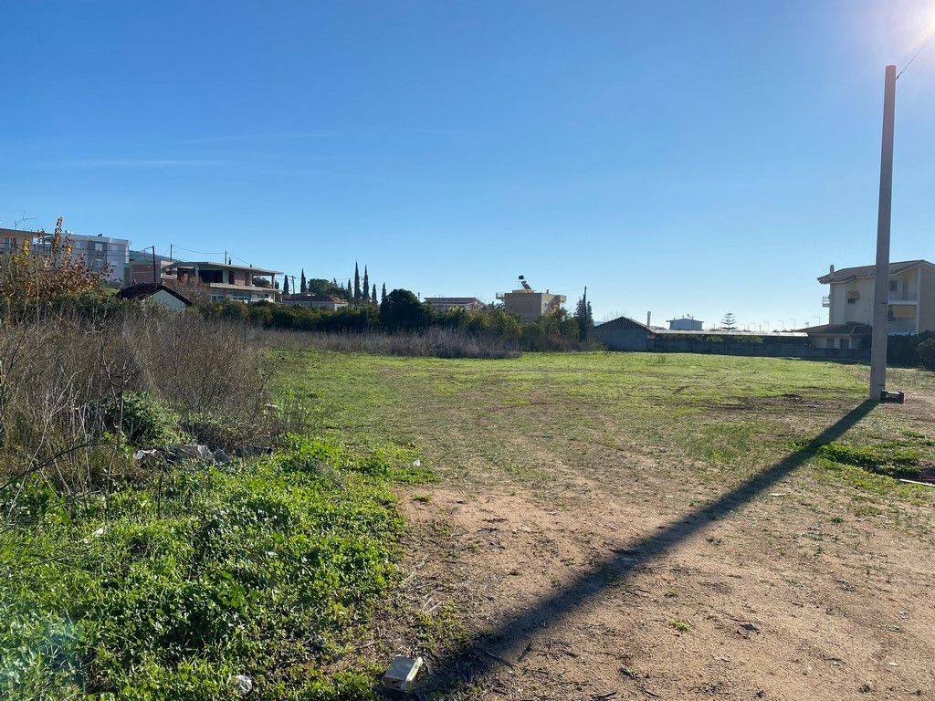 Oikopedo entos oikismoy